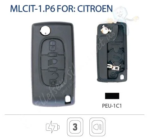 MLCIT-1.P6 Bilnøkkel Skall